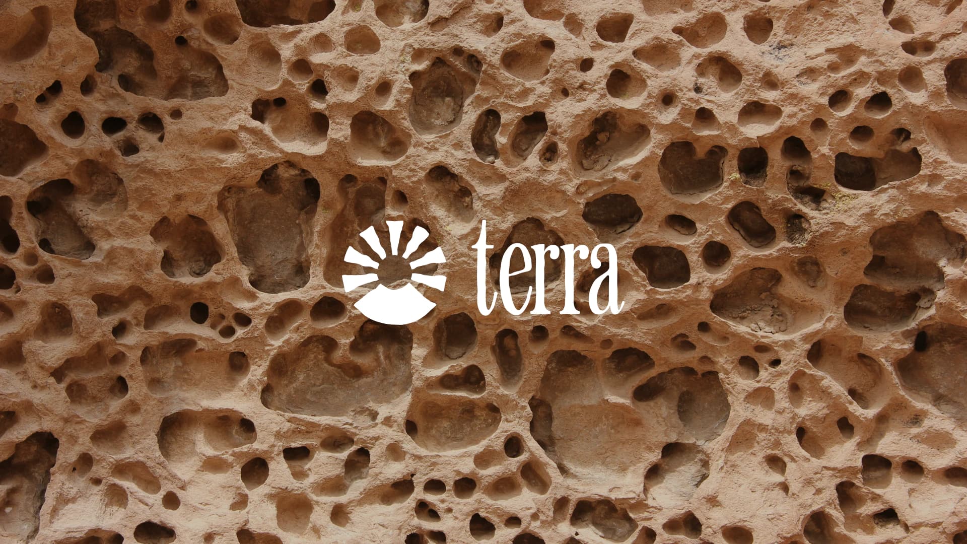 Image du projet Terra