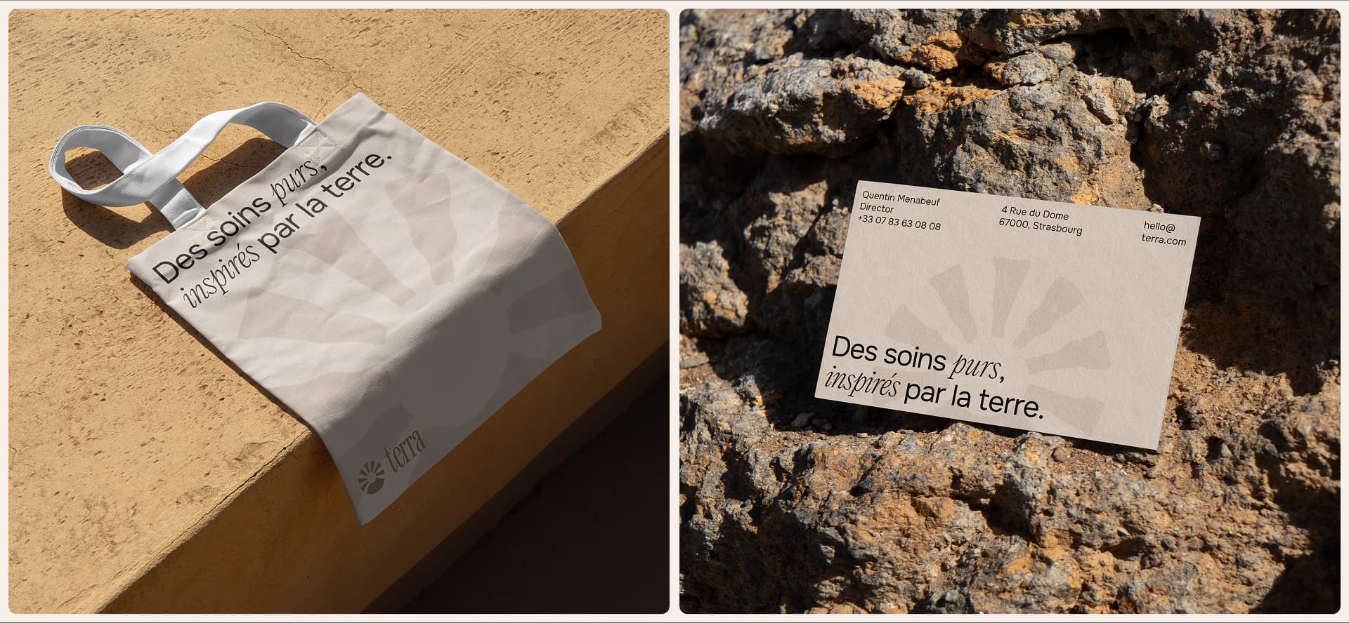 Image du projet Terra